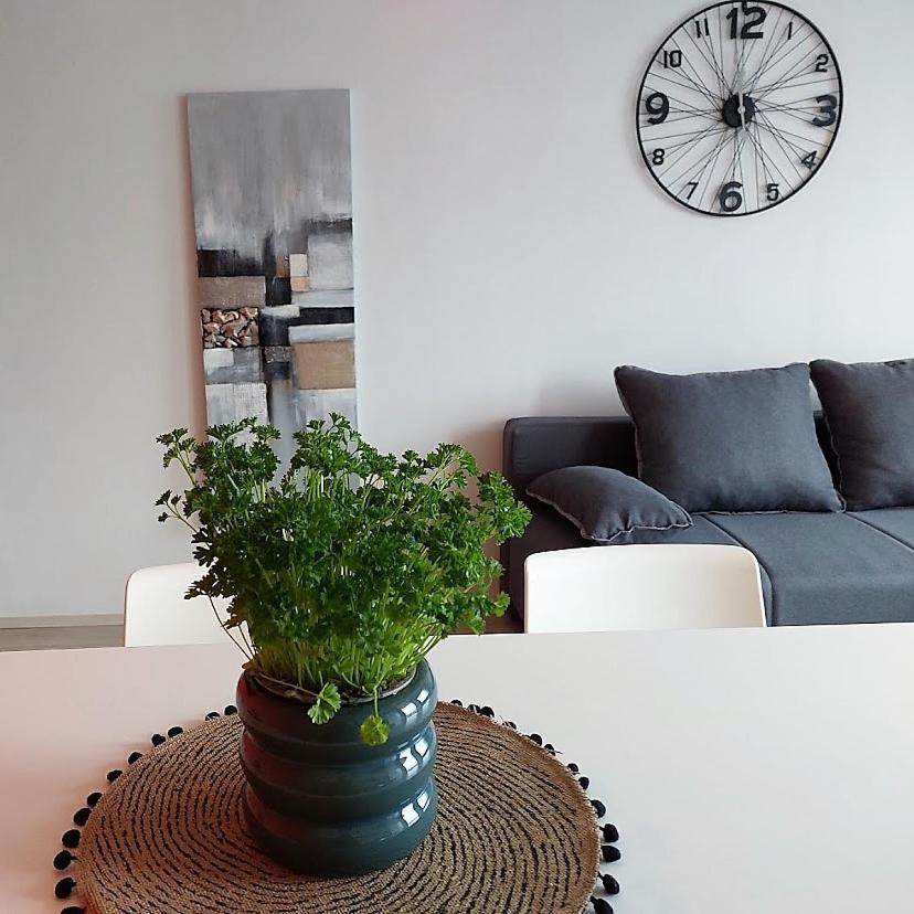 Urban Nest, sunny apartment 4 stars Rijeka Buitenkant foto